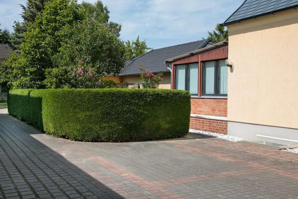 Charmantes Townhaus Mit Garten, W-Lan & Netflix Potsdam Exterior photo
